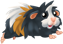 :sheba:
