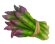 :spargel: