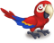 :roterara: