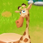 Meine Giraffe