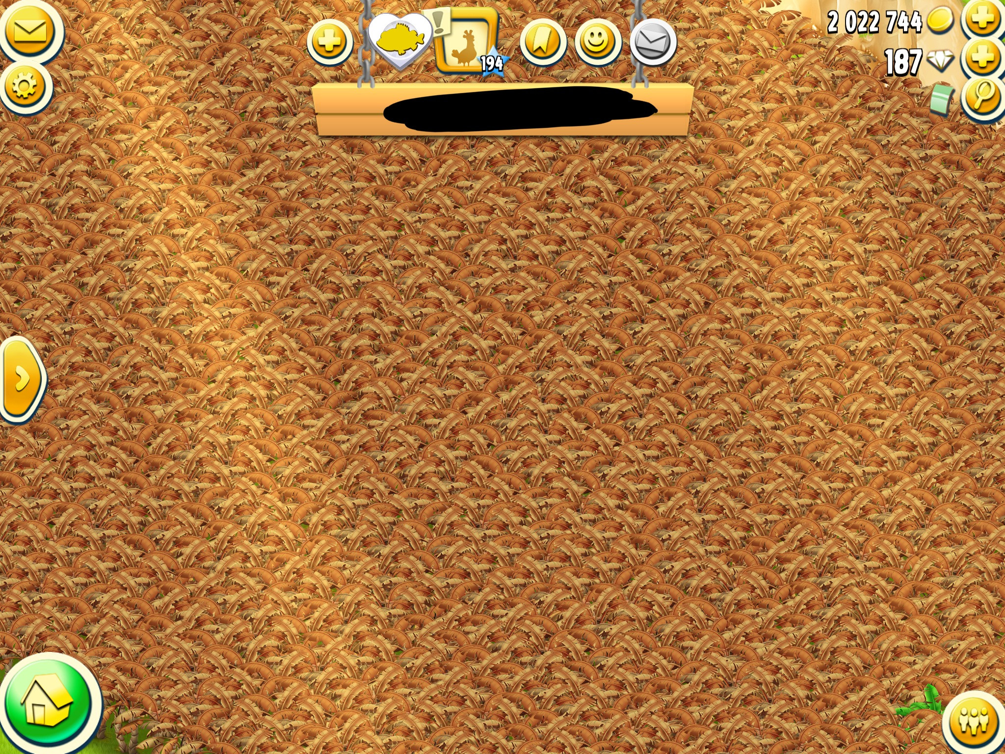 Bananen, die ganze Farm alles nur Bananen