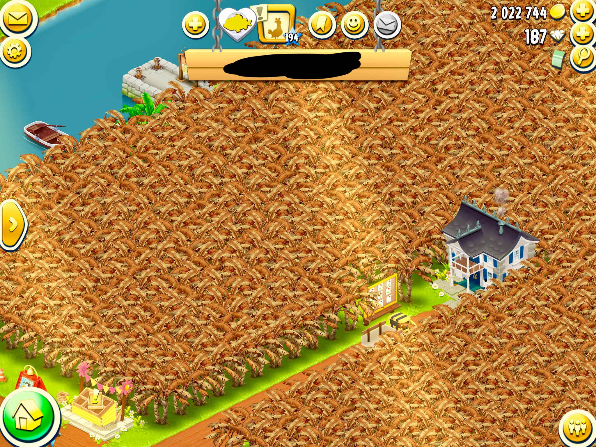 Bananen, die ganze Farm alles nur Bananen