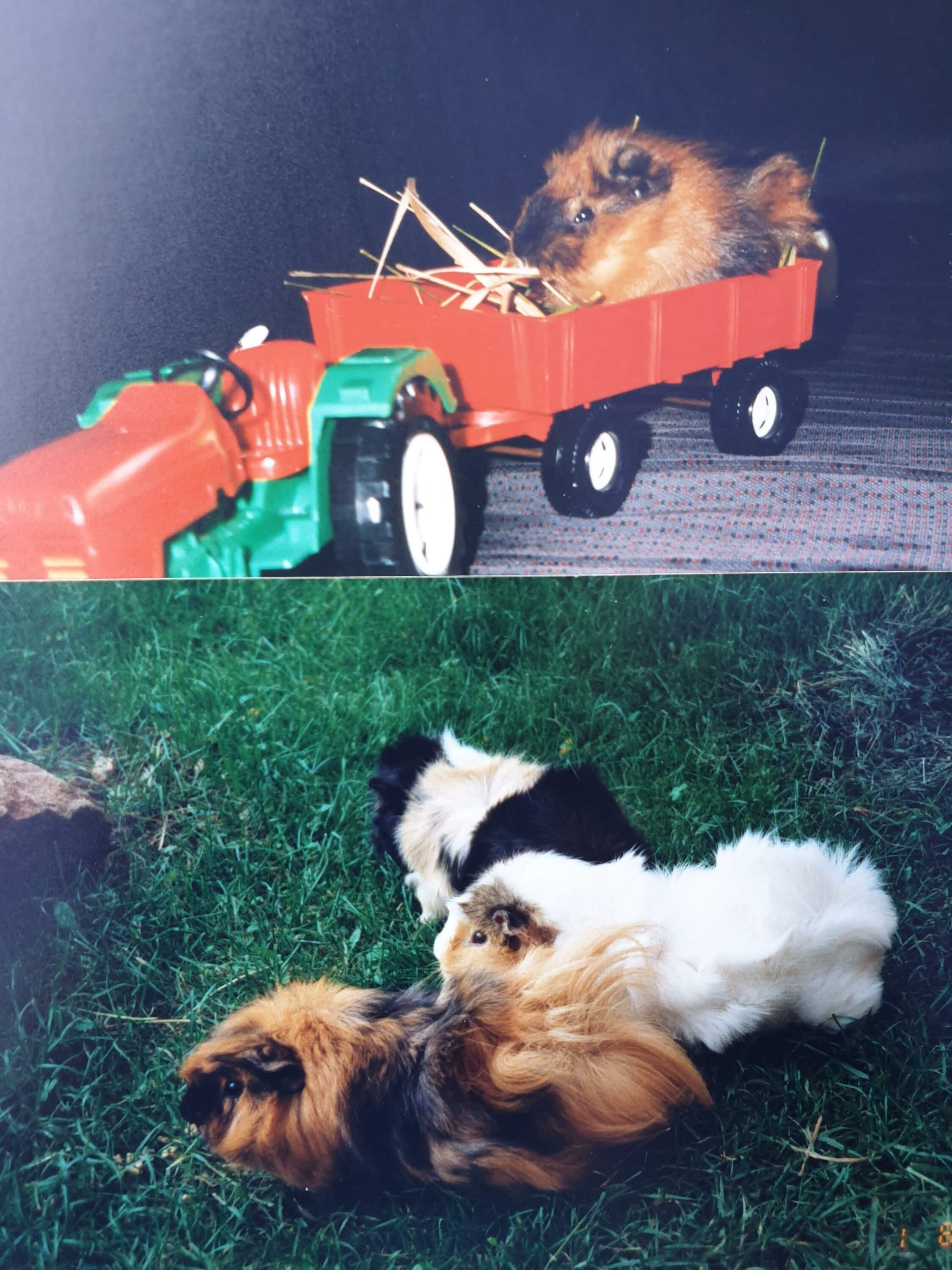 Kiki , Blinki und Beauty ....anno dazumal...