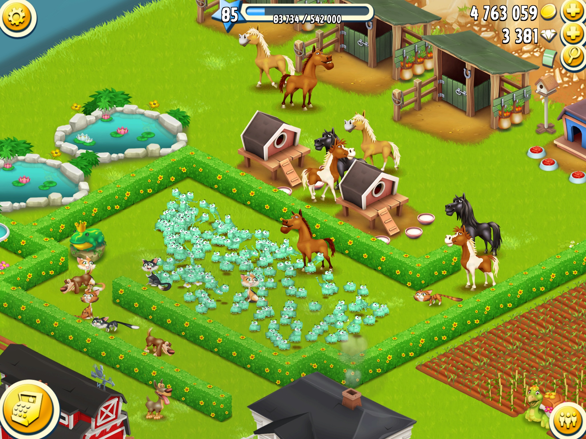 Gruppenfoto meiner Tiere.