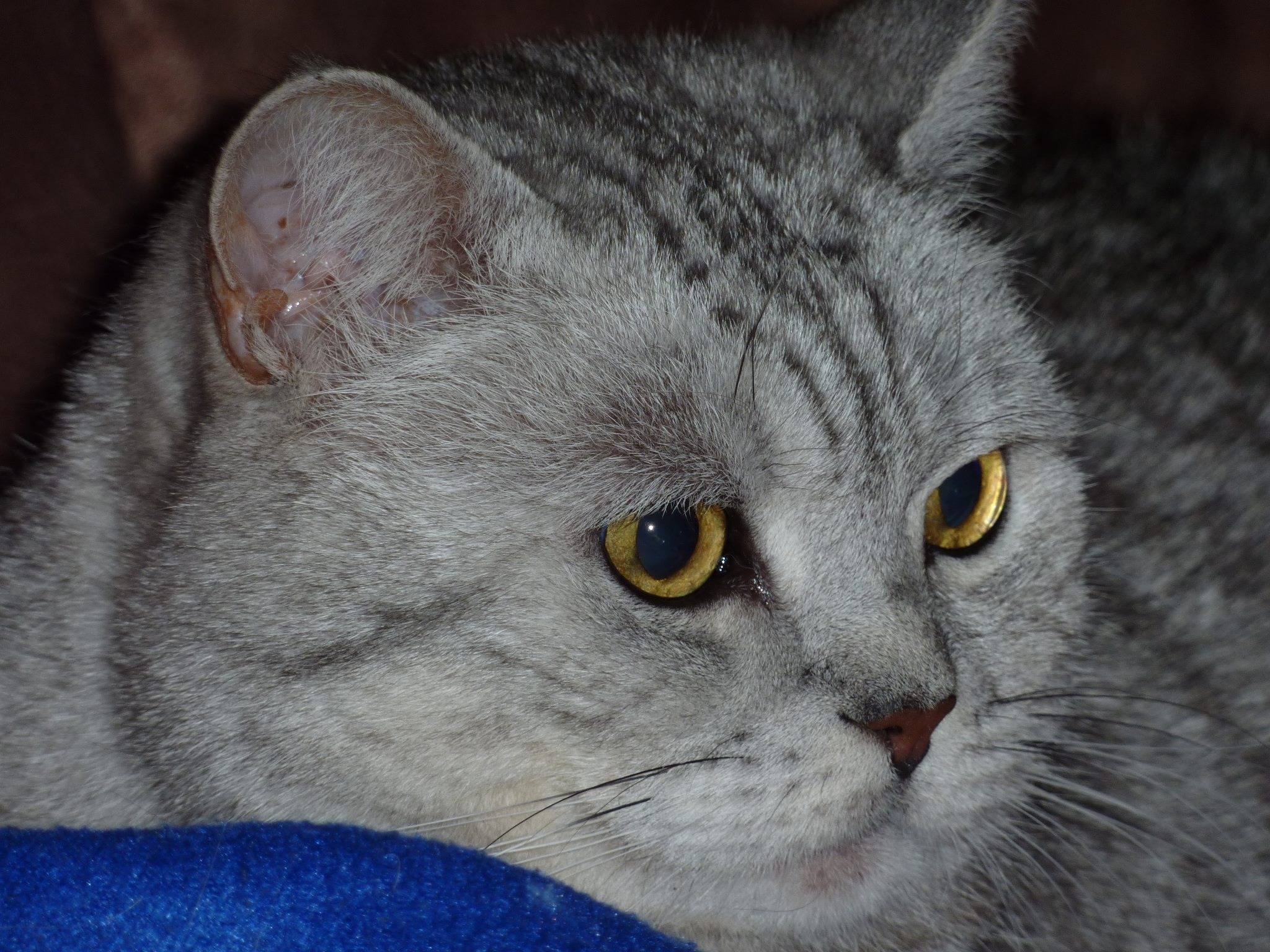 Mein Baby zum zweiten