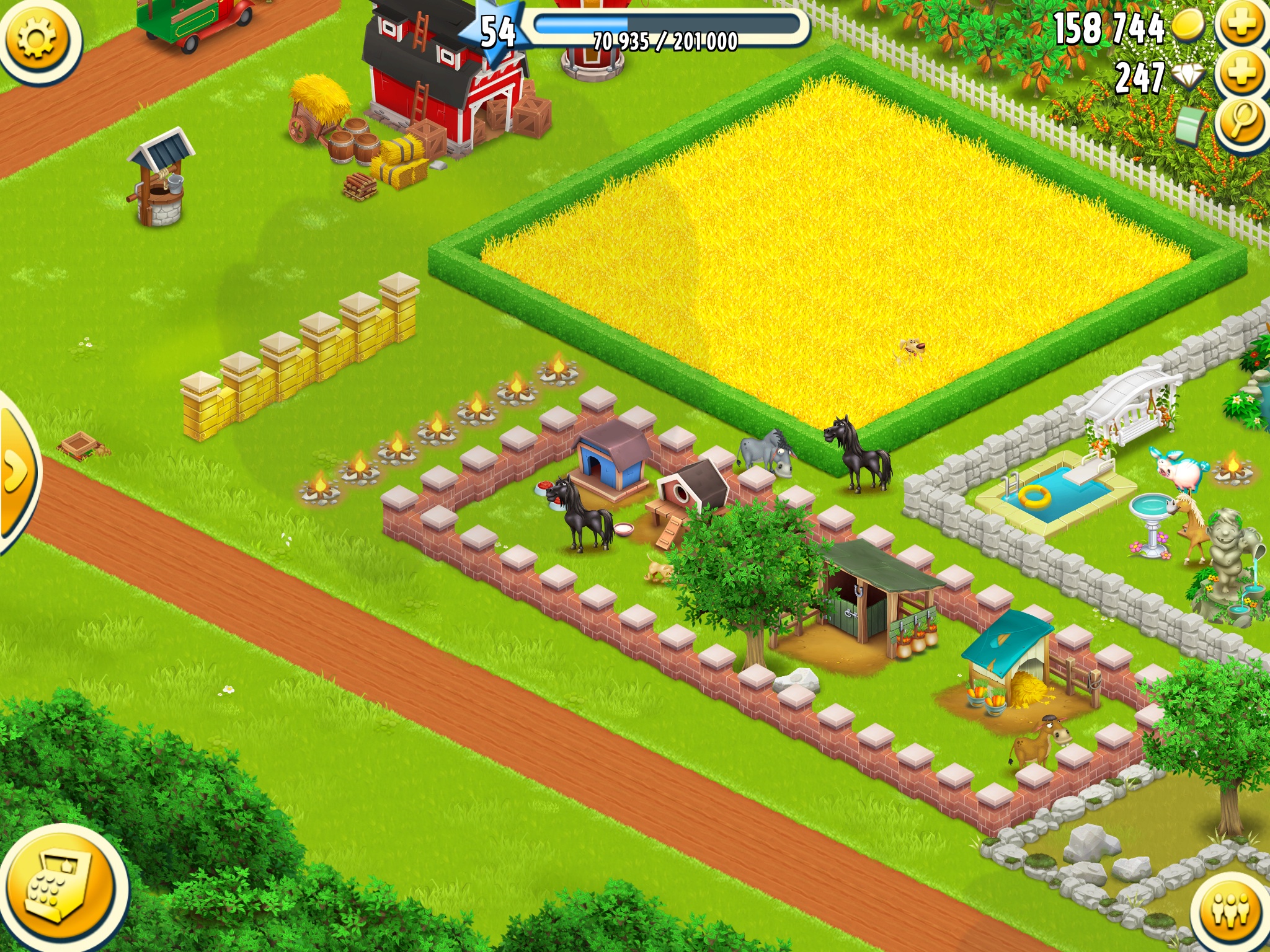 Ein Hund im Weizenfeld :D