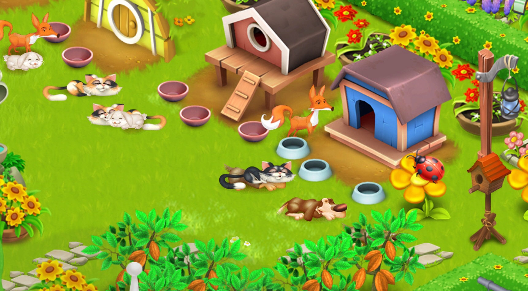 So ein Hundekopf kann auch bequem sein!!