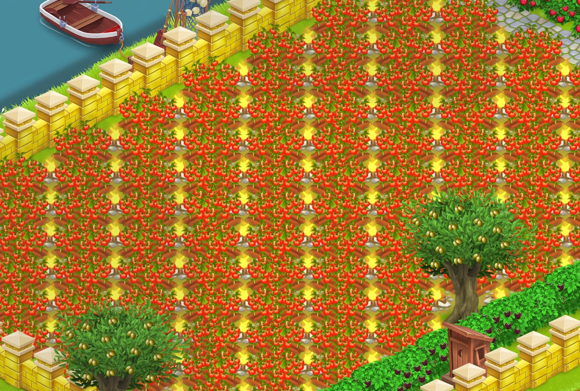 Feuriges Tomaten Feld, ....abgefahren...