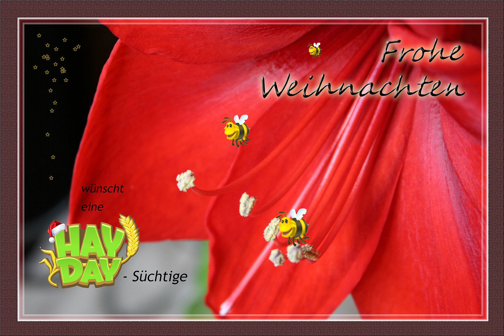 Pinky´s Weihnachtskarte