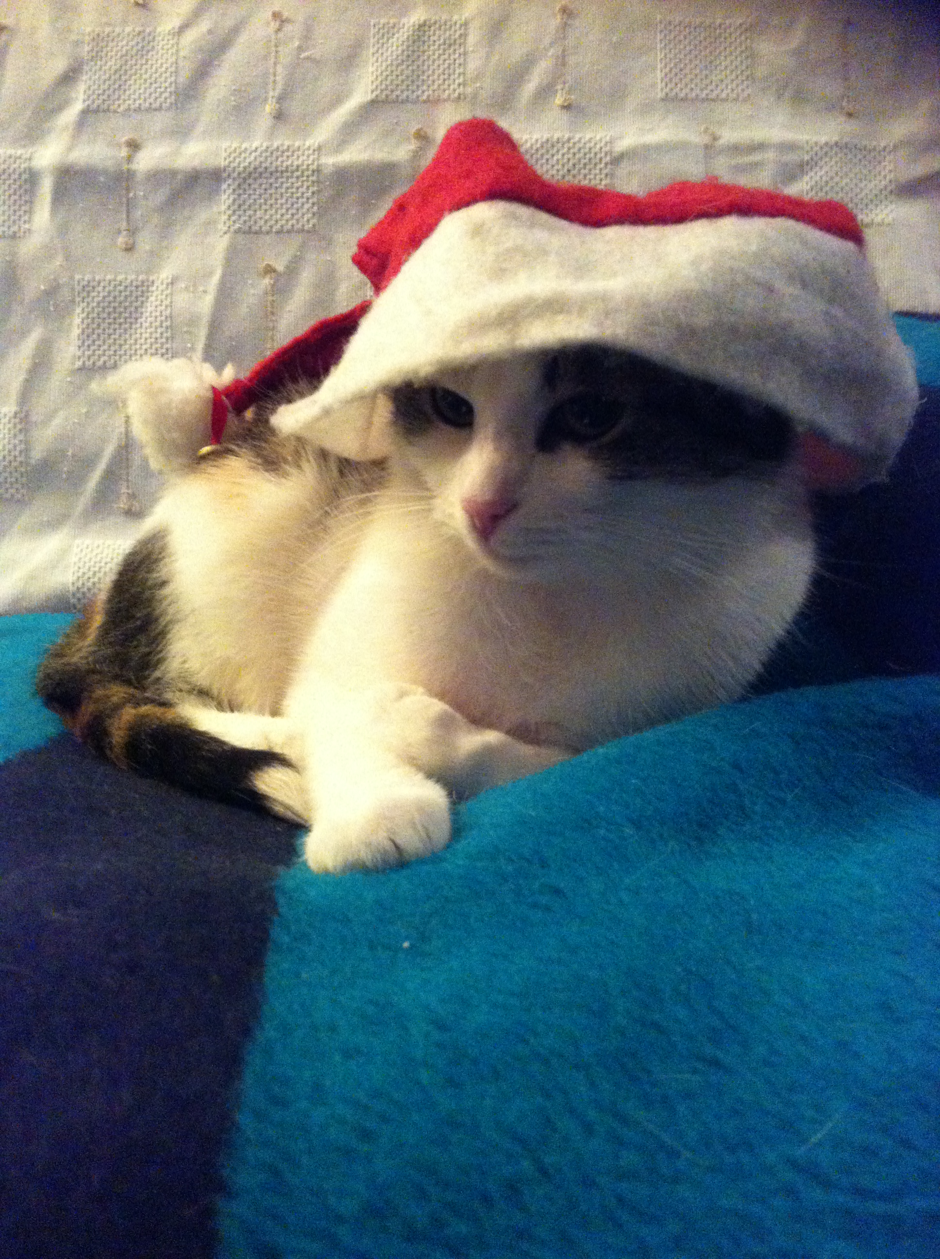 Fegerle ist Weihnachtsmann