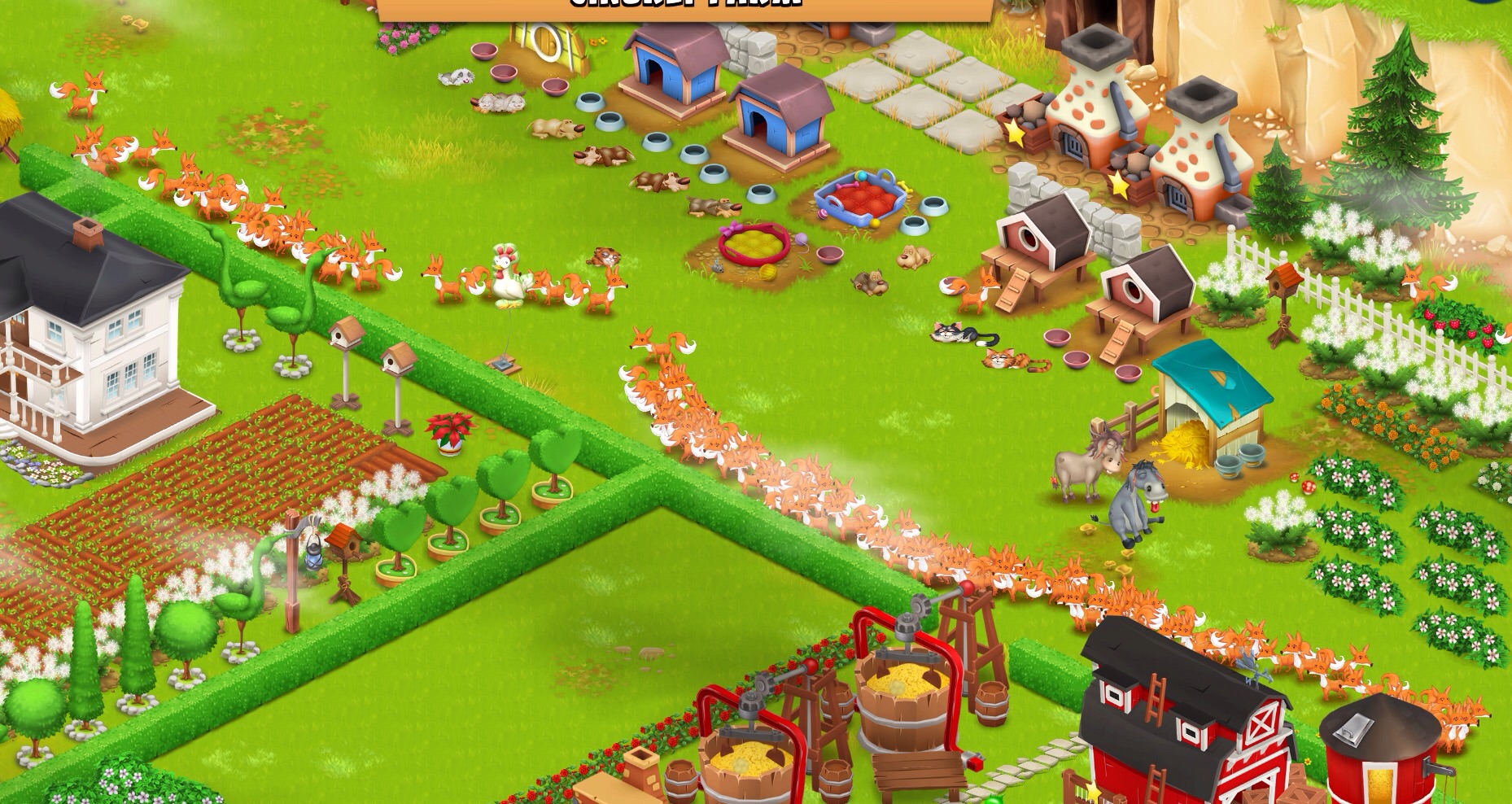 Invasion der Füchse